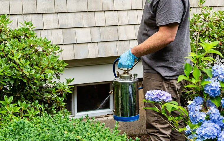 technician from Tim's Pest Control spraying a house