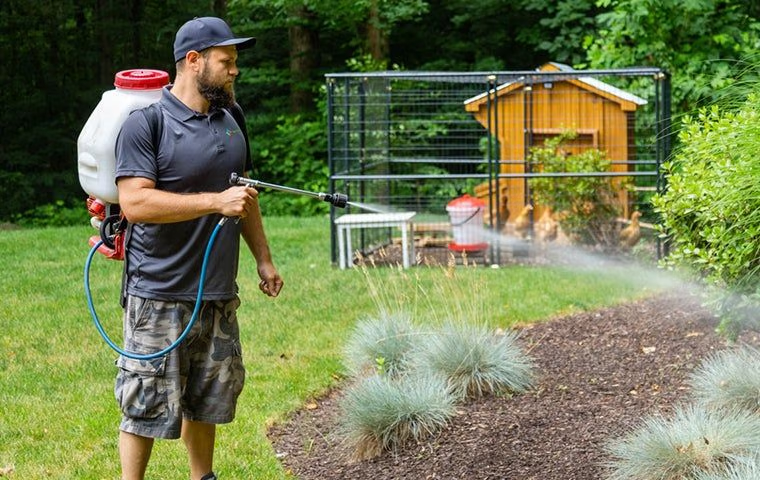 technician spraying for ticks